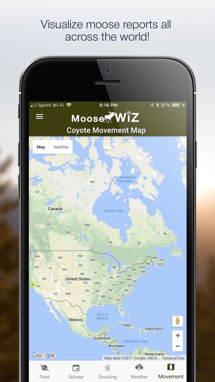 Moose Wiz: Hunting Predictions
