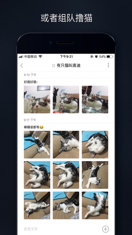 吸猫 - 你的猫就是我的猫