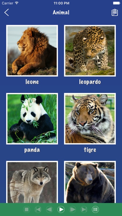 Italian Word Flashcards Learn
