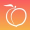 Fit Foods Coach is a meal plan assistant that can be used to help you meet your dietary goals