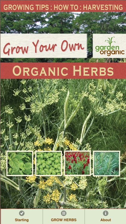 Grow Your Own Organic Herbs