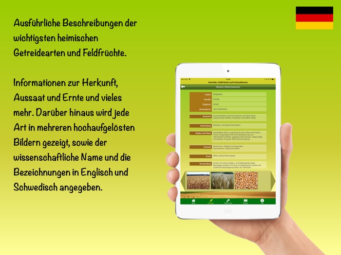 Getreide und Feldfrüchte