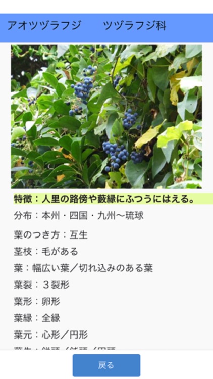 街野植物図鑑 screenshot-6