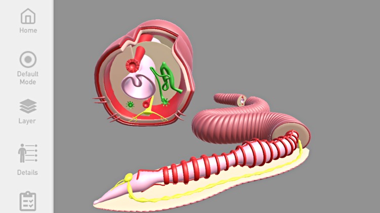 Biology3D screenshot-3