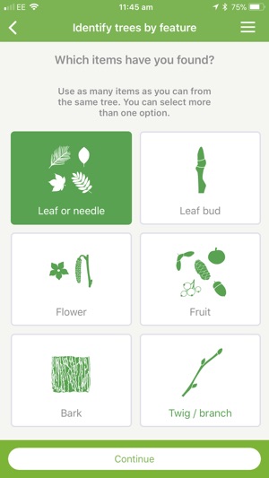 British tree identification(圖2)-速報App