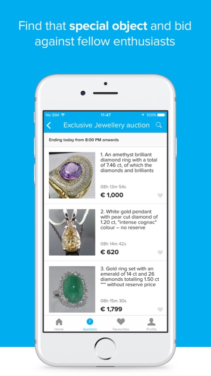 Catawiki Auctions - Bid on special objects.
