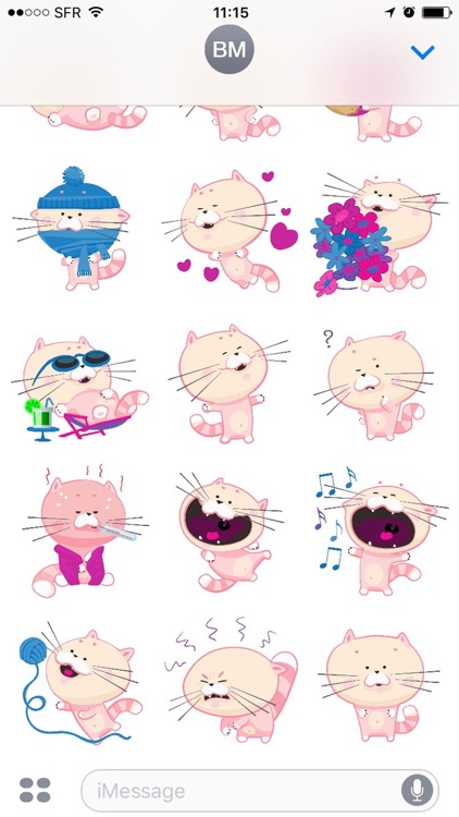 Cute Cat Chat Stickers