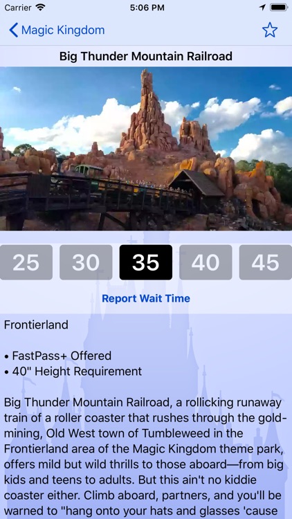 Wait Times at Disney World