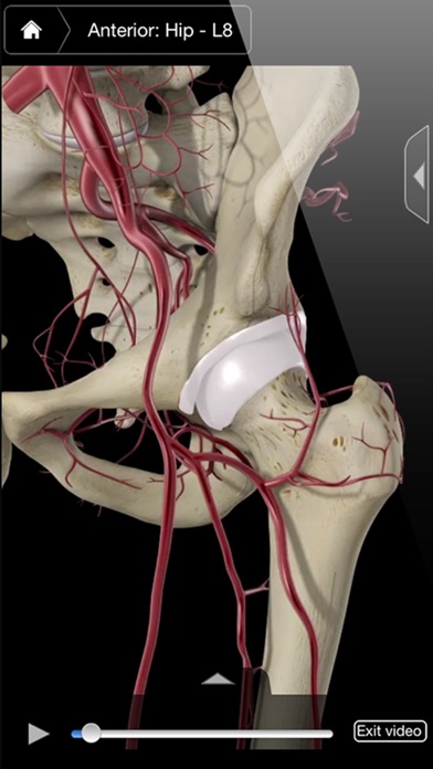 【图】Hip Pro III(截图2)