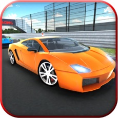 Activities of Car Racing Game 2017