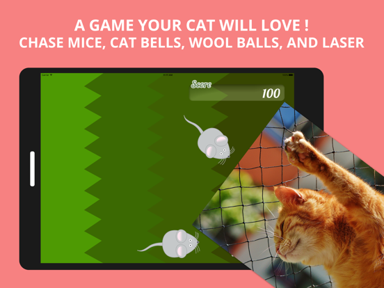 Best Game for Cats screenshot