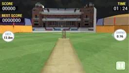 Game screenshot Real Cricket Runout Championship mod apk