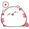 Cat Fat Animated Stickers