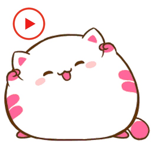 Cat Fat Animated Stickers