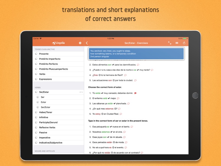 Lingolia Spanish Grammar screenshot-3