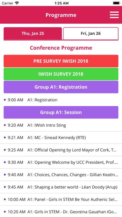 IWish 2018 Cork screenshot 2