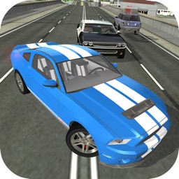 City Car Driving Sim