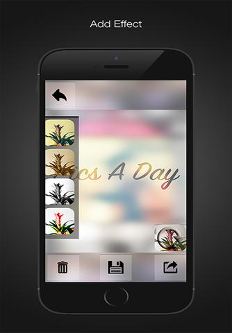 PicsADay screenshot 4