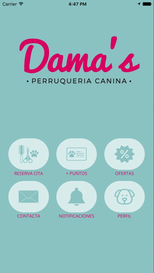 Dama's Perruqueria canina(圖2)-速報App