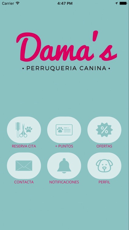 Dama's Perruqueria canina