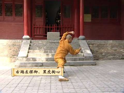 少林迷踪拳 screenshot 2