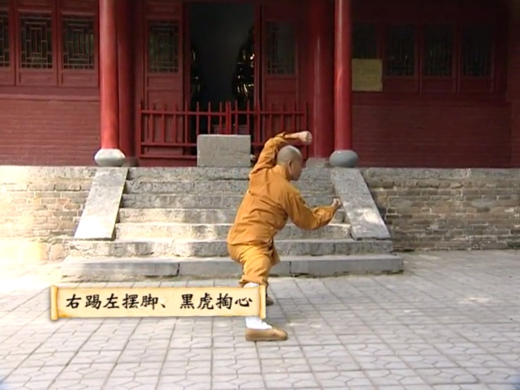 少林迷踪拳