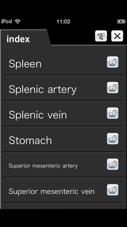 Abdominal CT Sectional Walker