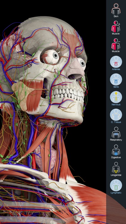 Essential Anatomy 5 screenshot-0