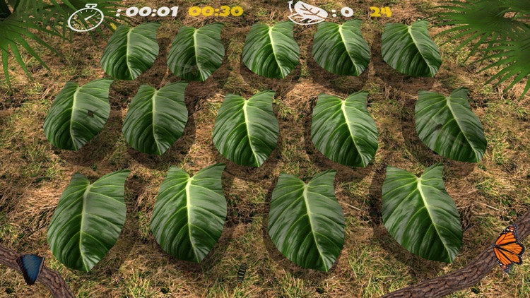 Critter Match