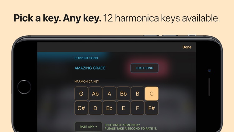 Harmonica screenshot-3