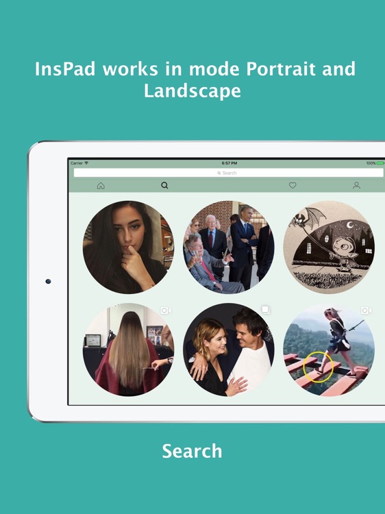 InsPad Viewer