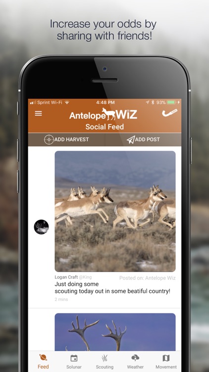 AntelopeWiz: Hunting System