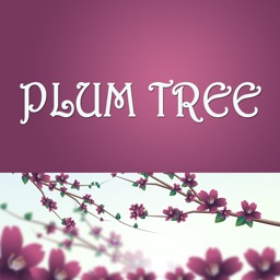Plum Tree Tampa