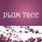 Online ordering for Plum Tree Restaurant in Tampa, FL