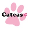 Cateas（キャッティーズ）
