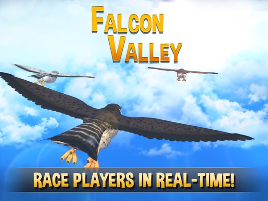 Falcon Valley Multiplayer Race на iPad