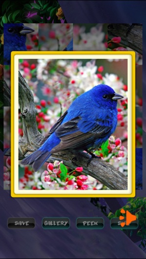 Spring Jigsaw Puzzles(圖3)-速報App