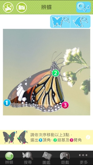 BUTTERFLY id(圖2)-速報App