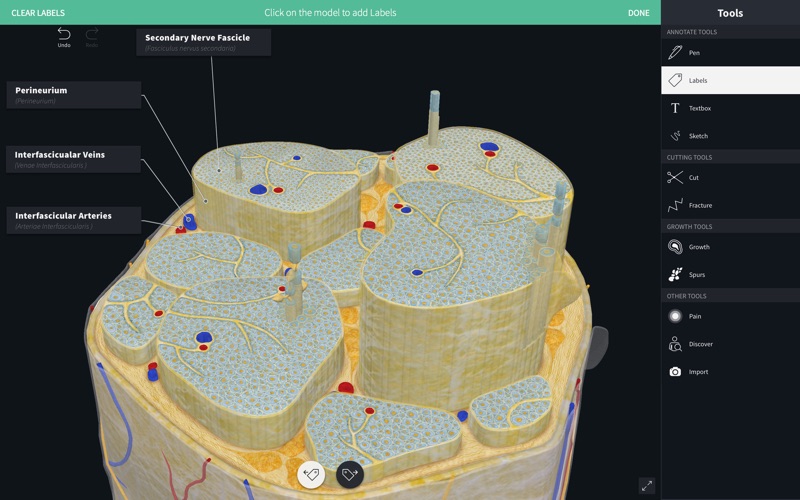 Complete_Anatomy_2019.app caprure 9 9_Complete_Anatomy_2019.jpg