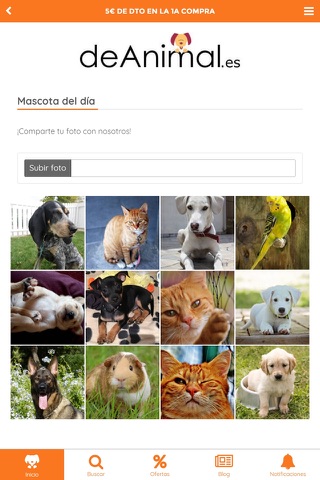 deAnimal.es - Tienda mascotas screenshot 4