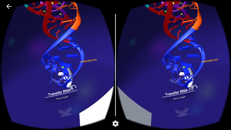 VR Biomolecules