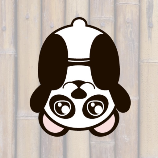 Paya Panda! The most adorable panda EVER! icon