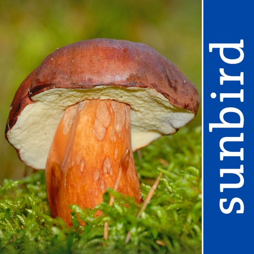 Mushroom Guide British Isles iOS App