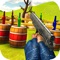 Do you love playing bottle shooting games with gun and got all what it takes to be a real bottle shoot master