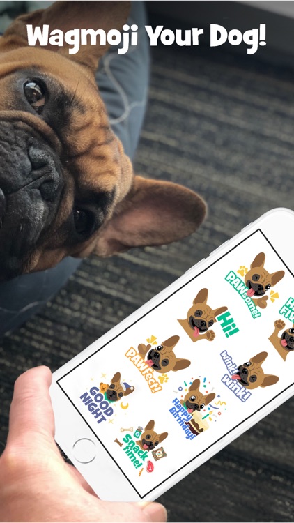 Wag! - Instant Dog Walkers screenshot-8
