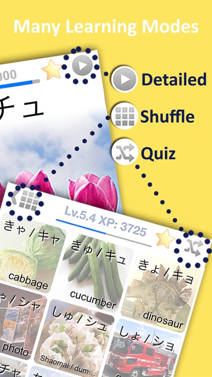 LETS Learn Hiragana & Katakana screenshot-3