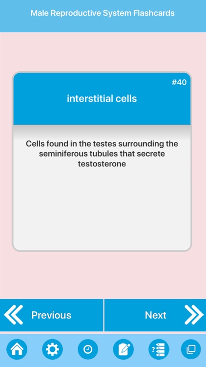 Male Reproductive System screenshot-6