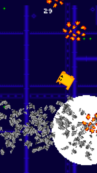 Box Cat Bash screenshot 5