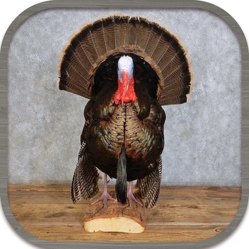 Turkey Hunting Call Icon