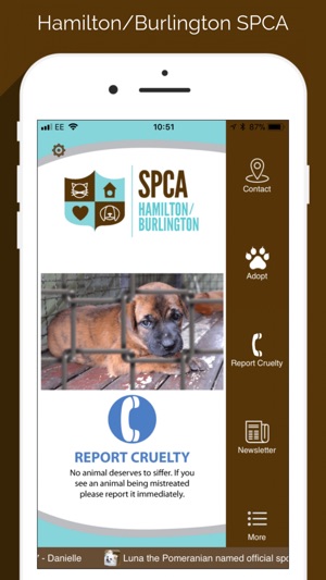 Hamilton/Burlington SPCA(圖1)-速報App